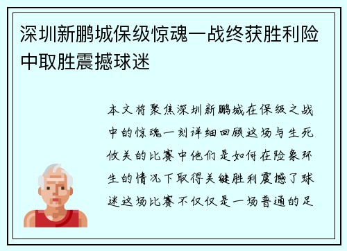 深圳新鹏城保级惊魂一战终获胜利险中取胜震撼球迷 深圳新鹏城保级惊魂一战终获胜利险中取胜震撼球迷